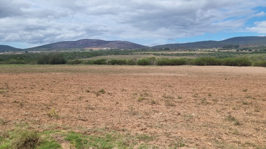 3 Bedroom Property for Sale in Albertinia Western Cape